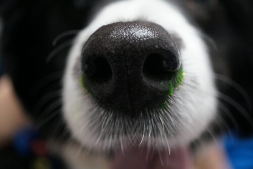 テストはどこでどのように実施されますか?